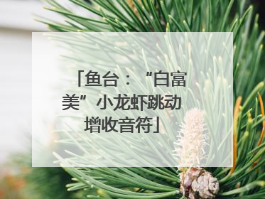 鱼台：“白富美”小龙虾跳动增收音符