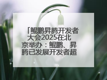 鲲鹏昇腾开发者大会2025在北京举办：鲲鹏、昇腾已发展开发者超665万