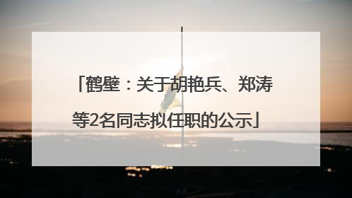 鹤壁：关于胡艳兵、郑涛等2名同志拟任职的公示