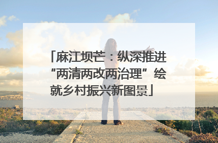 麻江坝芒：纵深推进“两清两改两治理”绘就乡村振兴新图景