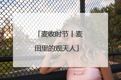 麦收时节丨麦田里的观天人