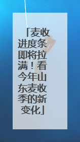 麦收进度条即将拉满！看今年山东麦收季的新变化