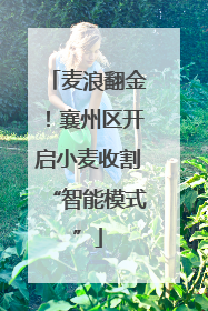 麦浪翻金！襄州区开启小麦收割“智能模式”