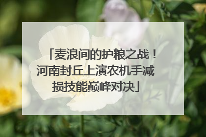 麦浪间的护粮之战！河南封丘上演农机手减损技能巅峰对决