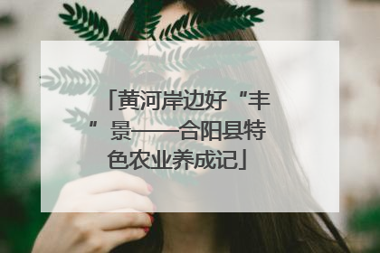黄河岸边好“丰”景——合阳县特色农业养成记
