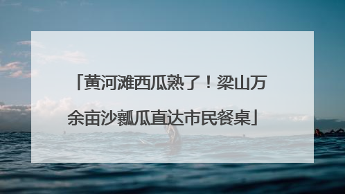 黄河滩西瓜熟了！梁山万余亩沙瓤瓜直达市民餐桌