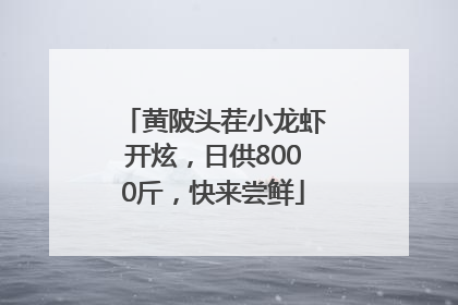 黄陂头茬小龙虾开炫，日供8000斤，快来尝鲜