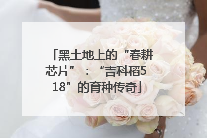 黑土地上的“春耕芯片”：“吉科稻518”的育种传奇