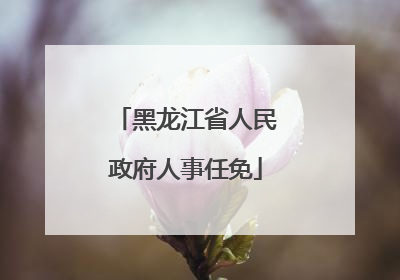 黑龙江省人民政府人事任免