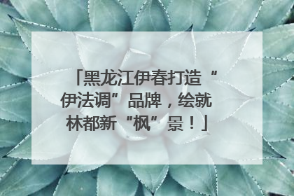 黑龙江伊春打造“伊法调”品牌，绘就林都新“枫”景！