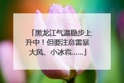 黑龙江气温稳步上升中！但要注意雷暴大风、小冰雹……