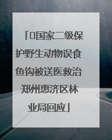 ﻿国家二级保护野生动物误食鱼钩被送医救治 郑州惠济区林业局回应