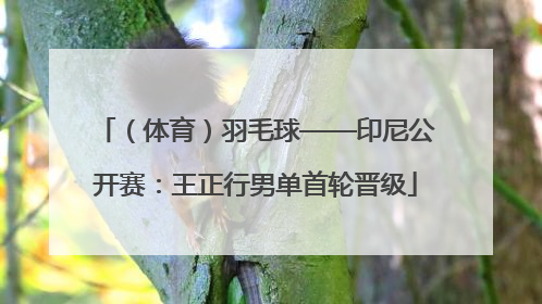 （体育）羽毛球——印尼公开赛：王正行男单首轮晋级