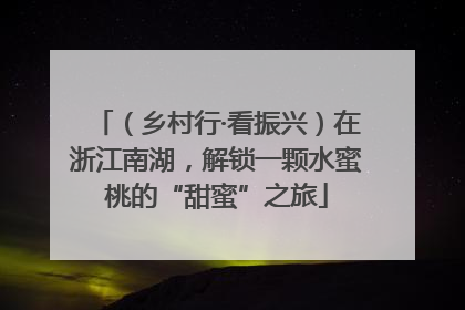（乡村行·看振兴）在浙江南湖，解锁一颗水蜜桃的“甜蜜”之旅