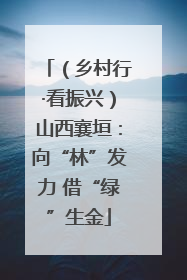 （乡村行·看振兴）山西襄垣：向“林”发力 借“绿”生金