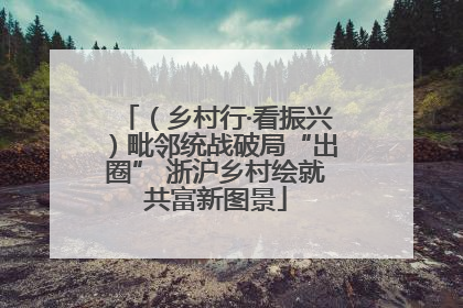 （乡村行·看振兴）毗邻统战破局“出圈” 浙沪乡村绘就共富新图景
