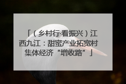 （乡村行·看振兴）江西九江：甜蜜产业拓宽村集体经济“增收路”