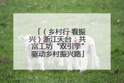 （乡村行·看振兴）浙江天台：共富工坊“双引擎”驱动乡村振兴路