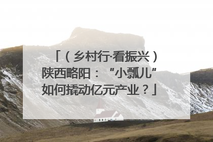 （乡村行·看振兴）陕西略阳：“小瓢儿”如何撬动亿元产业？