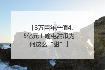 3万亩年产值4.5亿元！喻屯甜瓜为何这么“甜”