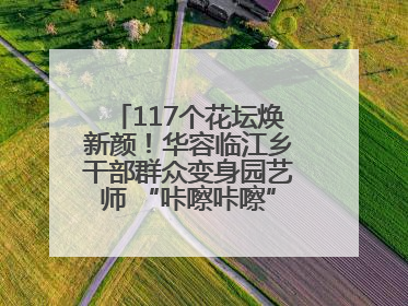 117个花坛焕新颜！华容临江乡干部群众变身园艺师 “咔嚓咔嚓”省下数万元