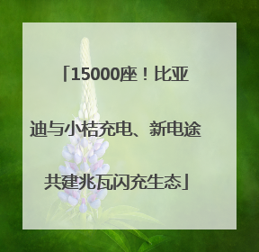 15000座！比亚迪与小桔充电、新电途共建兆瓦闪充生态