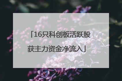 16只科创板活跃股获主力资金净流入