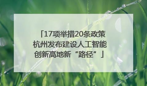 17项举措20条政策 杭州发布建设人工智能创新高地新“路径”