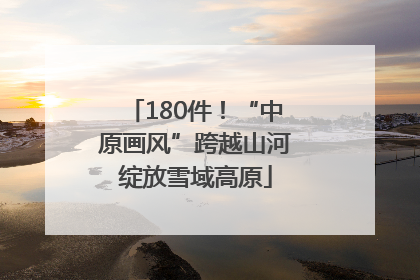 180件！“中原画风”跨越山河绽放雪域高原