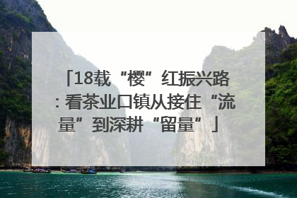 18载“樱”红振兴路：看茶业口镇从接住“流量”到深耕“留量”