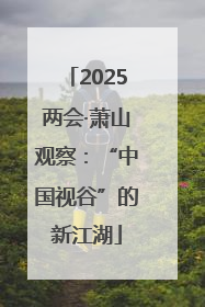 2025两会·萧山观察：“中国视谷”的新江湖