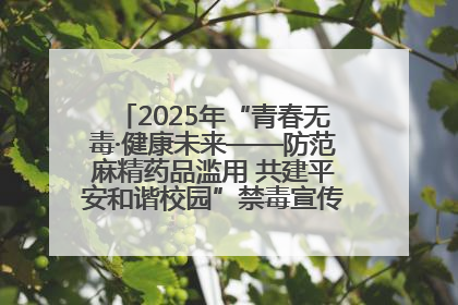 2025年“青春无毒·健康未来——防范麻精药品滥用 共建平安和谐校园”禁毒宣传专题活动在咸宁举行