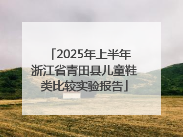 2025年上半年浙江省青田县儿童鞋类比较实验报告