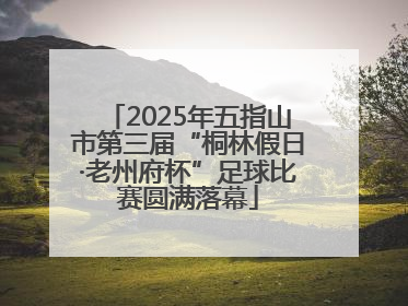 2025年五指山市第三届“桐林假日·老州府杯”足球比赛圆满落幕