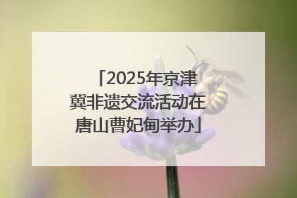 2025年京津冀非遗交流活动在唐山曹妃甸举办