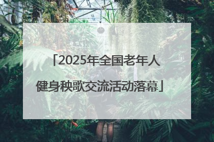 2025年全国老年人健身秧歌交流活动落幕