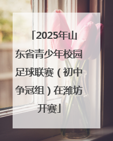 2025年山东省青少年校园足球联赛（初中争冠组）在潍坊开赛