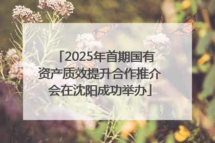 2025年首期国有资产质效提升合作推介会在沈阳成功举办