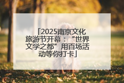 2025南京文化旅游节开幕：“世界文学之都”用百场活动等你打卡