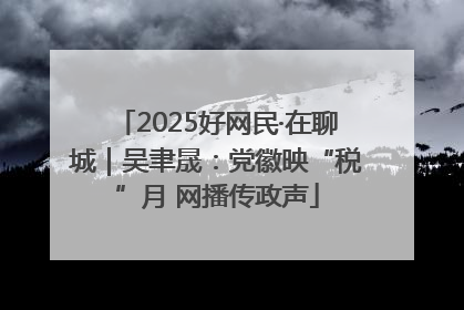 2025好网民·在聊城｜吴聿晟：党徽映“税”月 网播传政声
