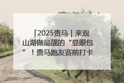 2025贵马｜来观山湖做最靓的“显眼包”！贵马跑友赛前打卡点燃奔跑热情