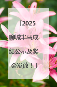 2025聊城半马成绩公示及奖金发放！