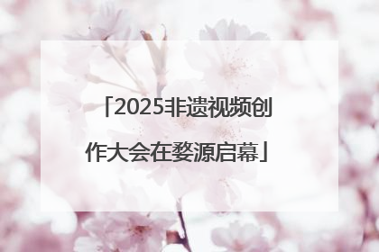 2025非遗视频创作大会在婺源启幕
