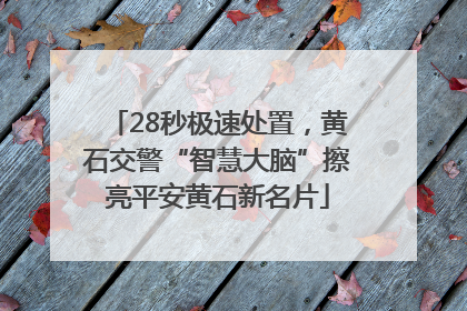 28秒极速处置，黄石交警“智慧大脑”擦亮平安黄石新名片