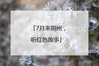 7月来荆州，听红色故事