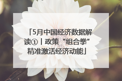 5月中国经济数据解读①丨政策“组合拳”精准激活经济动能