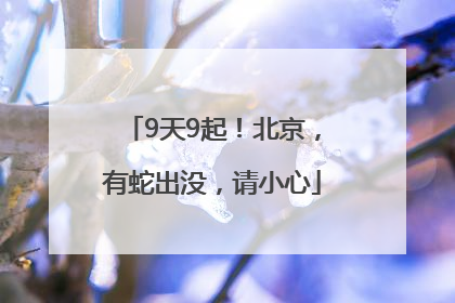 9天9起！北京，有蛇出没，请小心
