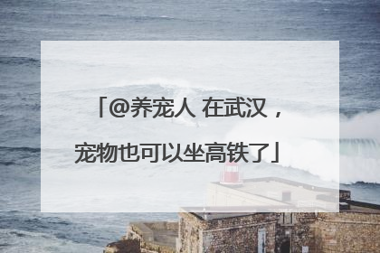 @养宠人 在武汉，宠物也可以坐高铁了