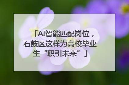 AI智能匹配岗位，石鼓区这样为高校毕业生“职引未来”