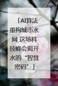 AI算法重构城市水网 这场科技峰会揭开水的“智慧密码”